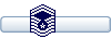 Senior Master Sergeant Senior Master Sergeant